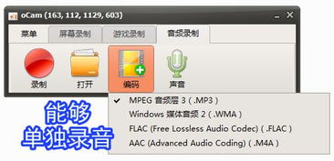 錄屏小將 ocam 全能錄屏、截圖與錄音的得力助手